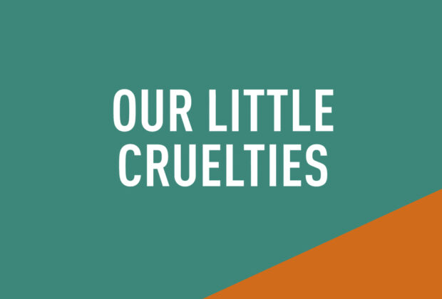Our Little Cruelties by Liz Nugent book Review main logo