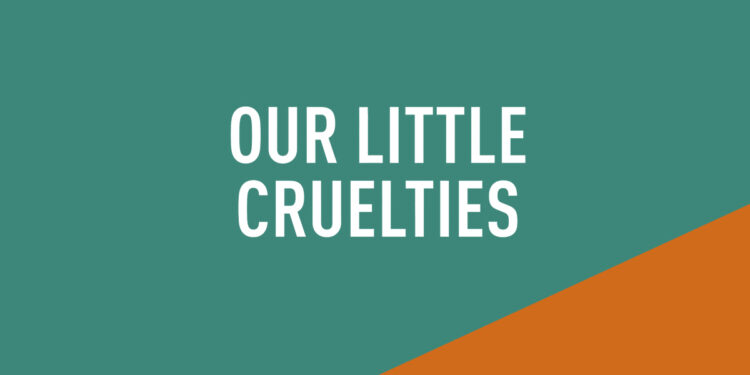 Our Little Cruelties by Liz Nugent book Review main logo