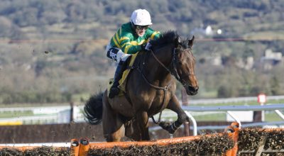 Outsiders to Consider for the 2024 Supreme Novices' Hurdle