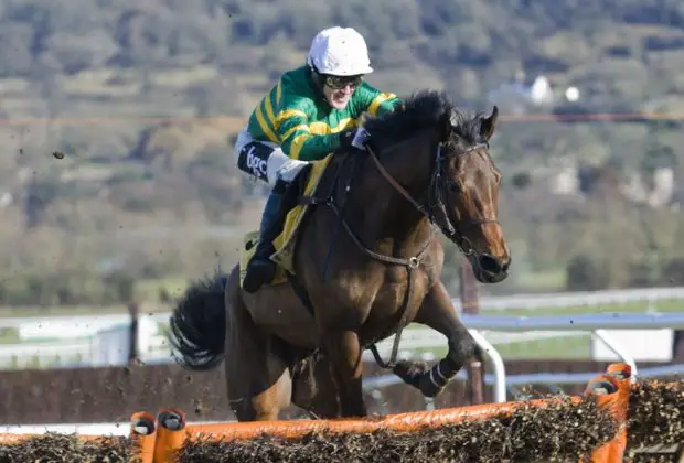 Outsiders to Consider for the 2024 Supreme Novices' Hurdle