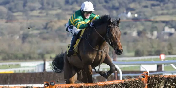Outsiders to Consider for the 2024 Supreme Novices' Hurdle