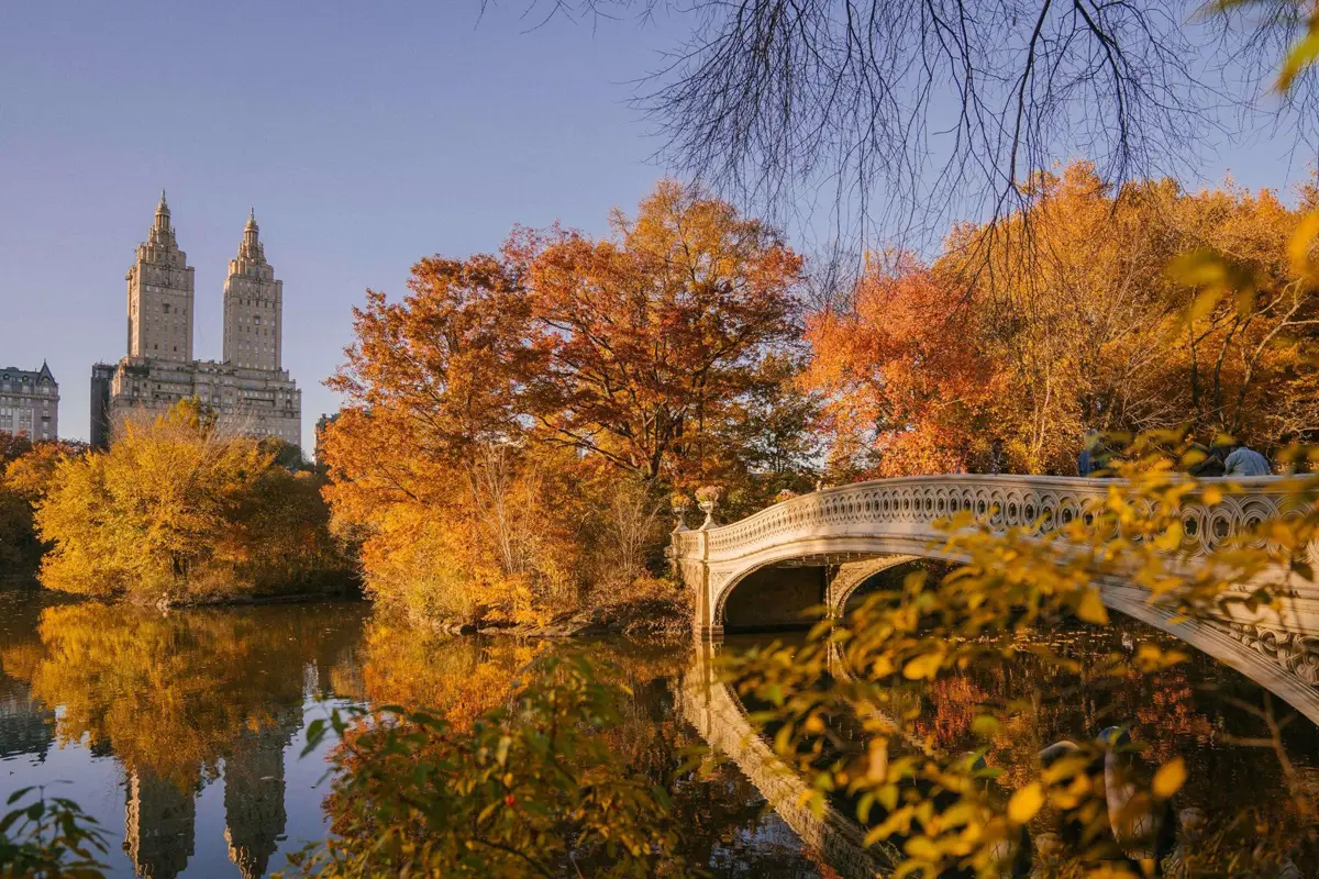 Planning a Trip to New York The Holiday of a Lifetime (2)