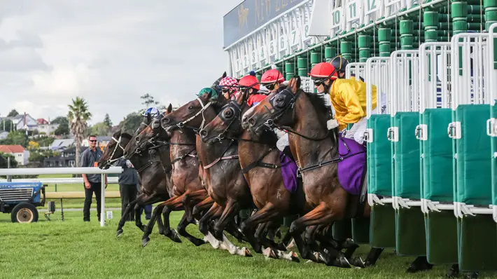 Race Favourites Ahead of the 2021 EBF Stallions John Musker Fillies' Stakes horses