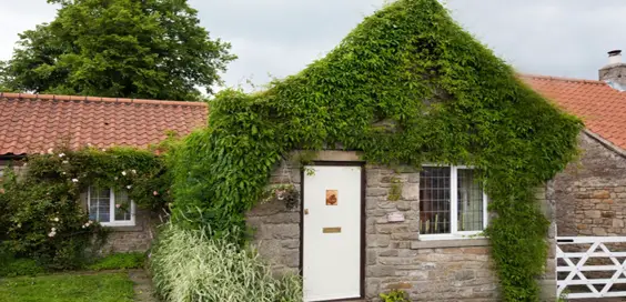 Rokerby Cottage Hutton Magna Teesdale review main