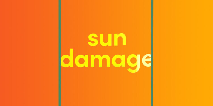 SUN DAMAGE Sabine Durrant book review logo