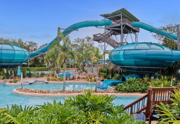 SeaWorld Orlando Travel Review