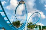 SeaWorld's Florida Parks, Orlando - Travel Review