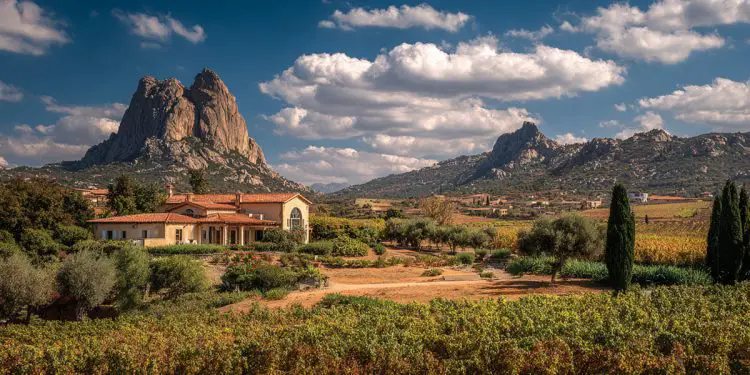 Sella and Mosca – A Unique Winery in Sardegna header