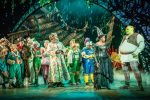 Shrek The Musical – Review – Bradford Alhambra (3)