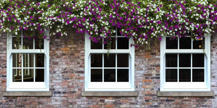 The Aesthetic Appeal of uPVC Sash Windows for Your Home Beauty (1)