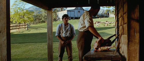 The Chant of Jimmie Blacksmith Film Review bluray