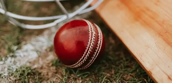 The Cricket World Cup 2019 main
