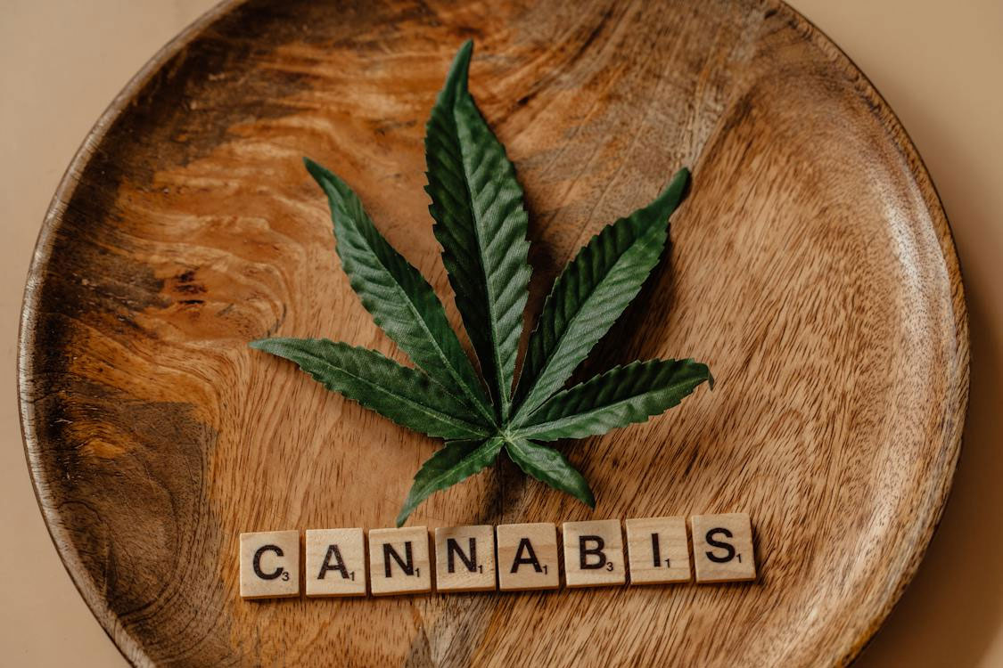The Debate Continues Should Cannabis Cultivation Be Legalized, and How Could It Influence Yorkshire (1)
