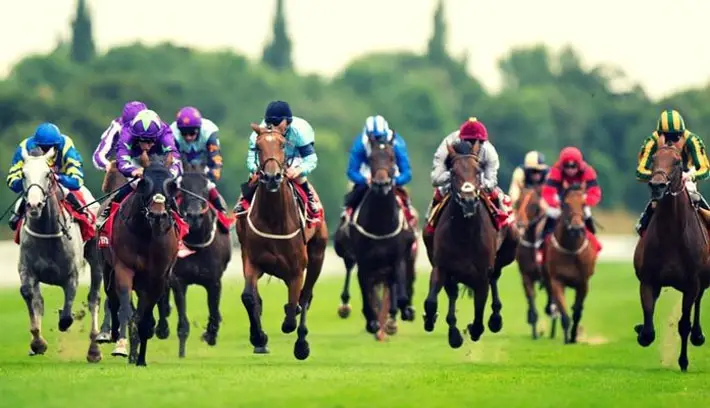 The Evolution of Horse Racing race