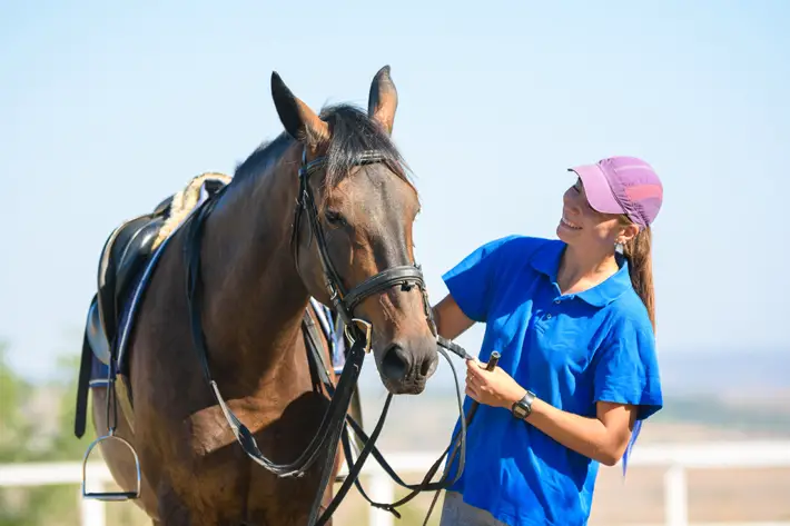 The Future of Horse Racing Predictions for the Next Decade train