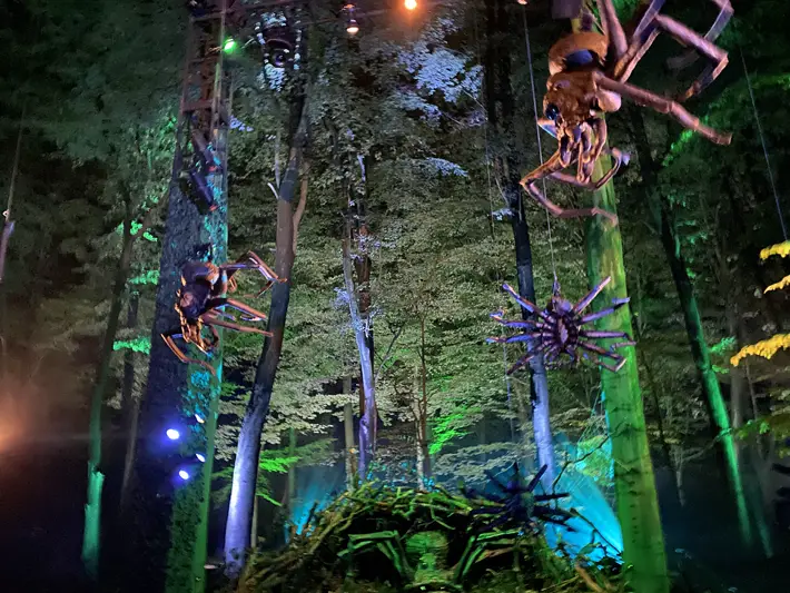 The Harry Potter Forbidden Forest Experience – Review Spiders