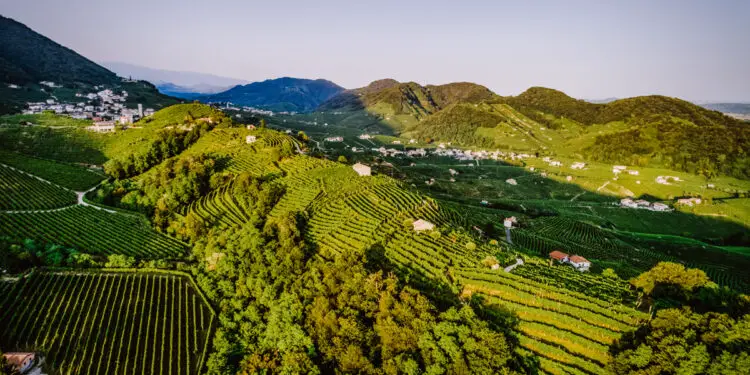 The Prosecco Road in Italy Sparkling Wines and Scenic Vines (3)