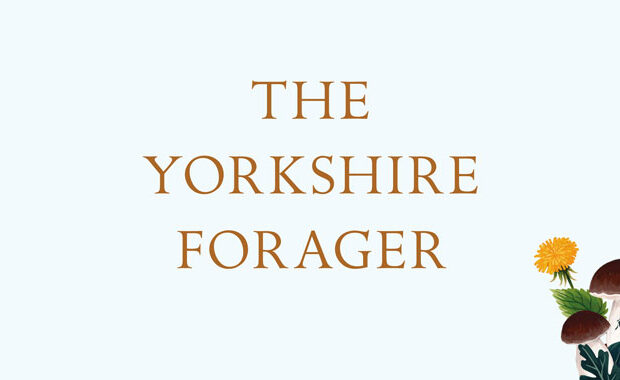 The Yorkshire Forager Alyssa Vasey review main logo