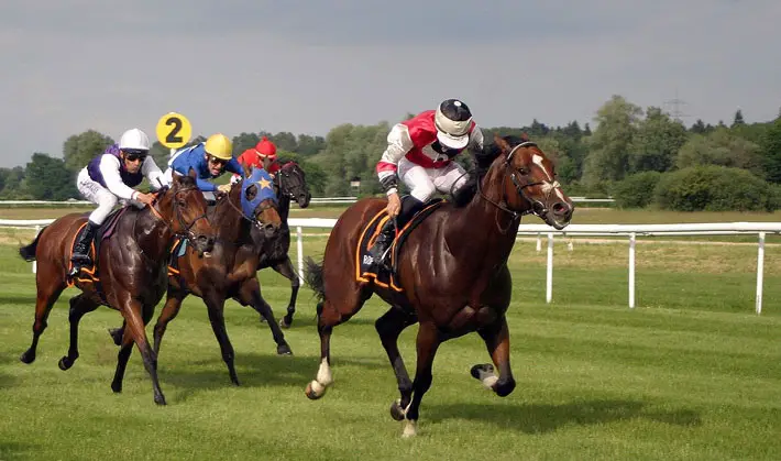 Tips for Choosing the Best Horse Betting Website racing