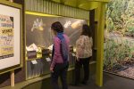 Unearthed The Power of Gardening, at the British Library – Review