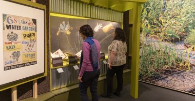 Unearthed The Power of Gardening, at the British Library – Review