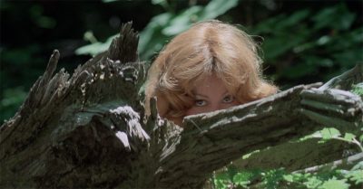 Up! (1977) Film Review