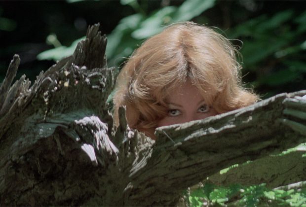 Up! (1977) Film Review