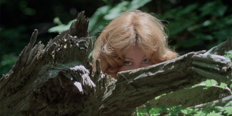Up! (1977) Film Review