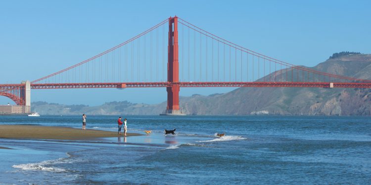 Visiting the Host Cities of the 2026 Football World Cup golden gate