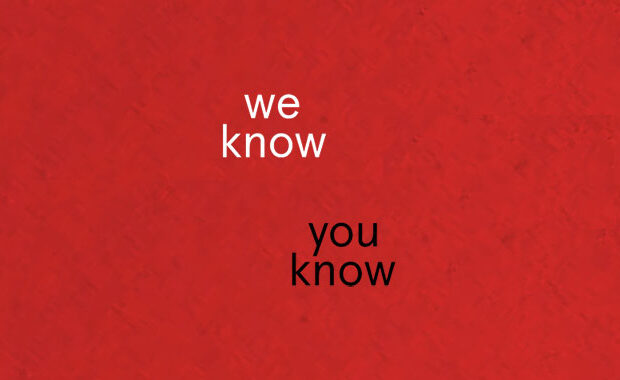 We Know You Know Erin Kelly Book Review main logo