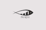 What is Panem A Ukrainian SEO Company in Their Own Words logo