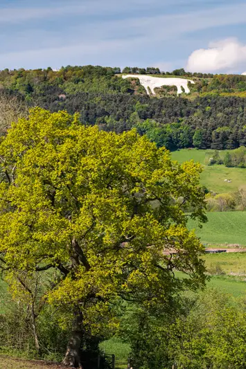 What is the Story Behind the White Horse of Kilburn history