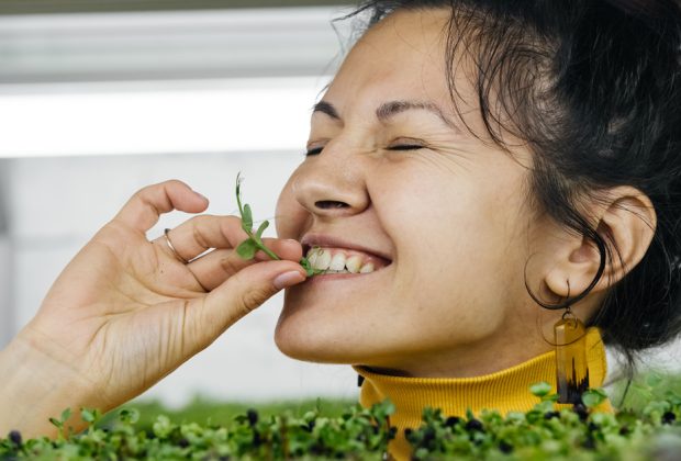 Why Microgreens Are So Healthy (3)