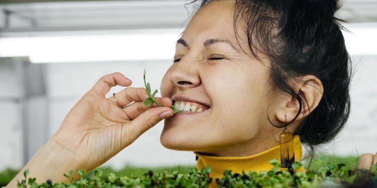 Why Microgreens Are So Healthy (3)