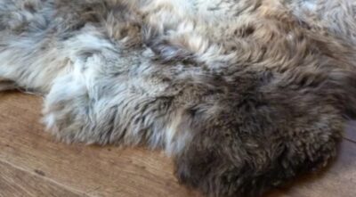 Why Sheepskin Rugs Remain the Ultimate Interior Statement main