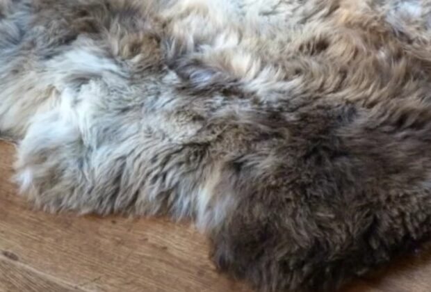 Why Sheepskin Rugs Remain the Ultimate Interior Statement main