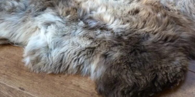 Why Sheepskin Rugs Remain the Ultimate Interior Statement main