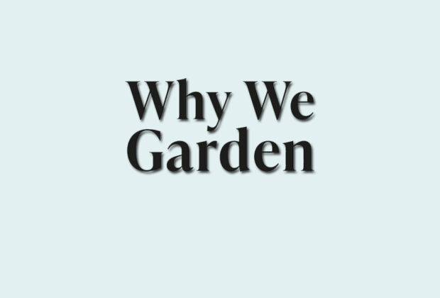 'Why We Garden' by Claire Masset book review logo