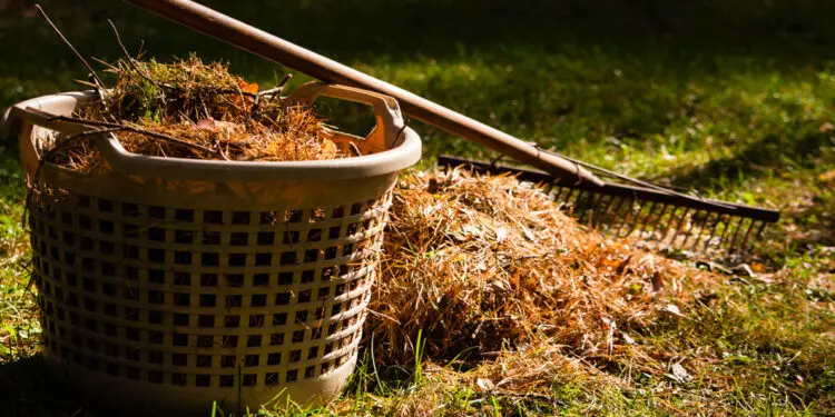 Why is summer the Best Time for Clearing Waste from your Garden Areas main