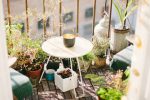 With The Drop in Temperature, Your Balcony Garden Could Use a Little TLC main