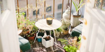 With The Drop in Temperature, Your Balcony Garden Could Use a Little TLC main