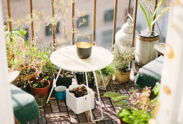 With The Drop in Temperature, Your Balcony Garden Could Use a Little TLC main