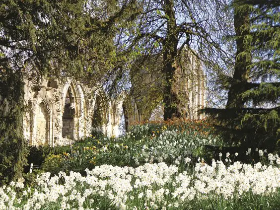 York History Tour St Mary's Abbey