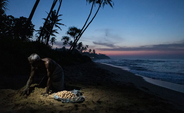 Yorkshire Photographers Triumph in World’s Best Food Photographer of the Year Awards main