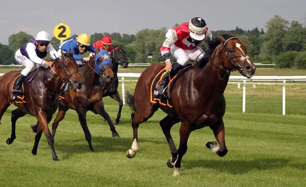 Yorkshire’s Ebor Festival Up There With Nation’s Best main