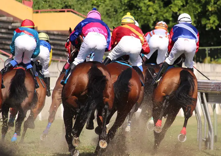 Yorkshire’s Ebor Festival Up There With Nation’s Best york