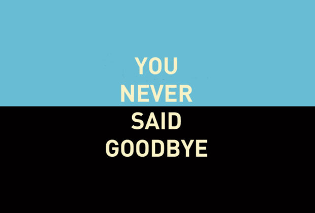 You Never Said Goodbye by Luca Veste book review logo