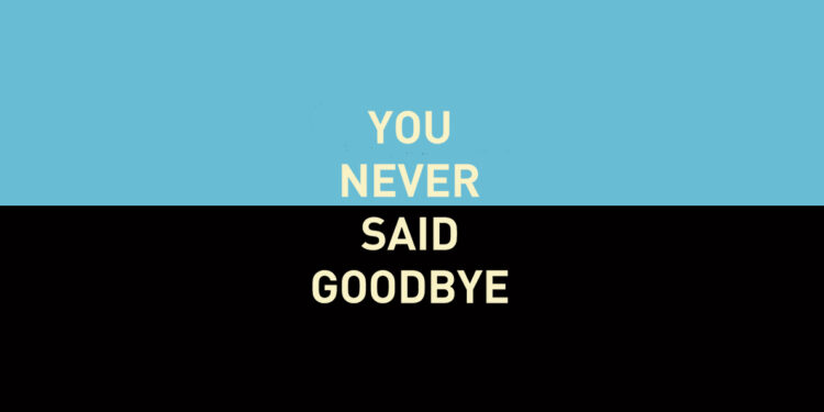 You Never Said Goodbye by Luca Veste book review logo