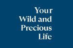 Your Wild and Precious Life by Liz Jensen – Review (2)