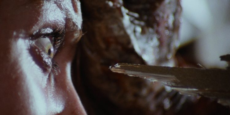 Zombie Flesh Eaters (1979) – Film Review